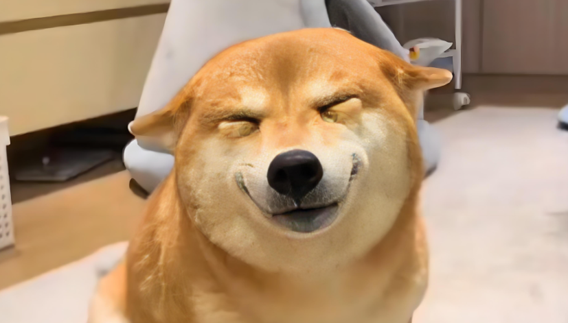 1745984736_491437